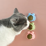Crab Cat Mint Catnip Toys Jennynailart